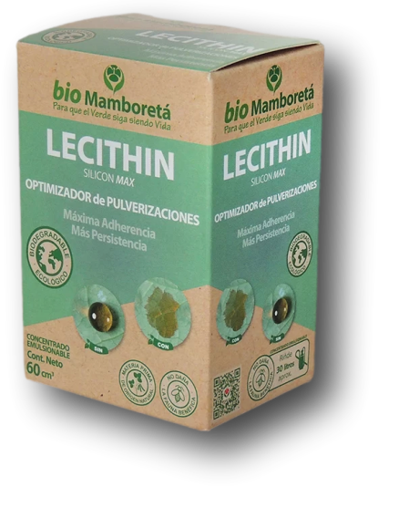 Lecithin